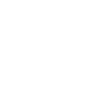Champion System