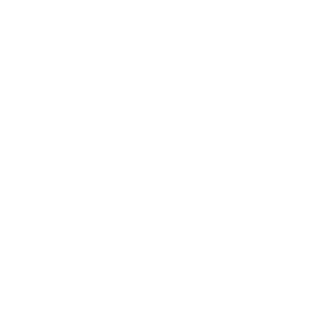 Mishmi