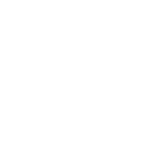 Specialized_White