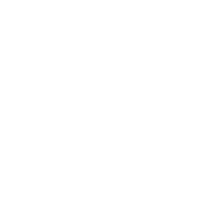TD_Logo_BW_AW.WHITE