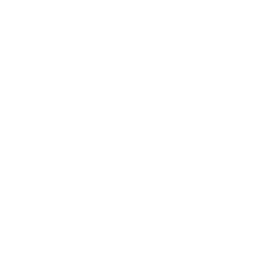 Topo_Logo_2024_white_300x300